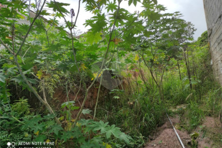 Terreno à venda em Chora Menino, São Paulo, SP