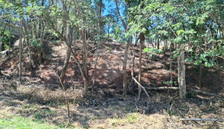 Terreno à venda em Horto, São Paulo, SP