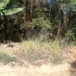 Terreno à venda em Serra da Cantareira, Mairiporã, SP