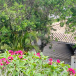 Casa à venda com 7 suítes em Albatroz, Armação dos Búzios, RJ