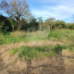 Terreno à venda em Chácara Santo Antônio, Araçoiaba da Serra, SP