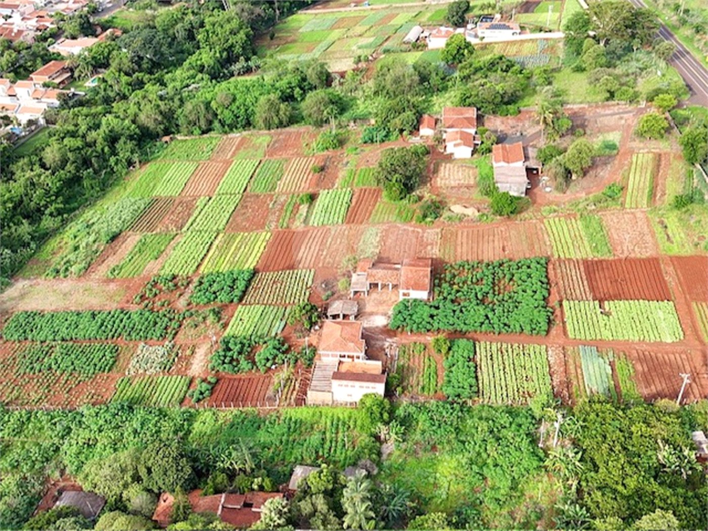 Terreno à venda em Jardim Itaú, Ribeirão Preto, SP
