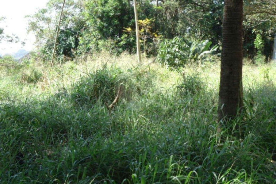 Terreno à venda em Jardim Floresta, São Paulo, SP