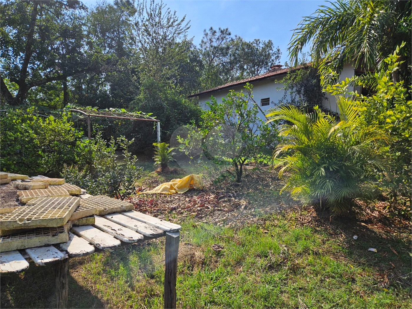 Sítio à venda em Mato Dentro, Indaiatuba, SP