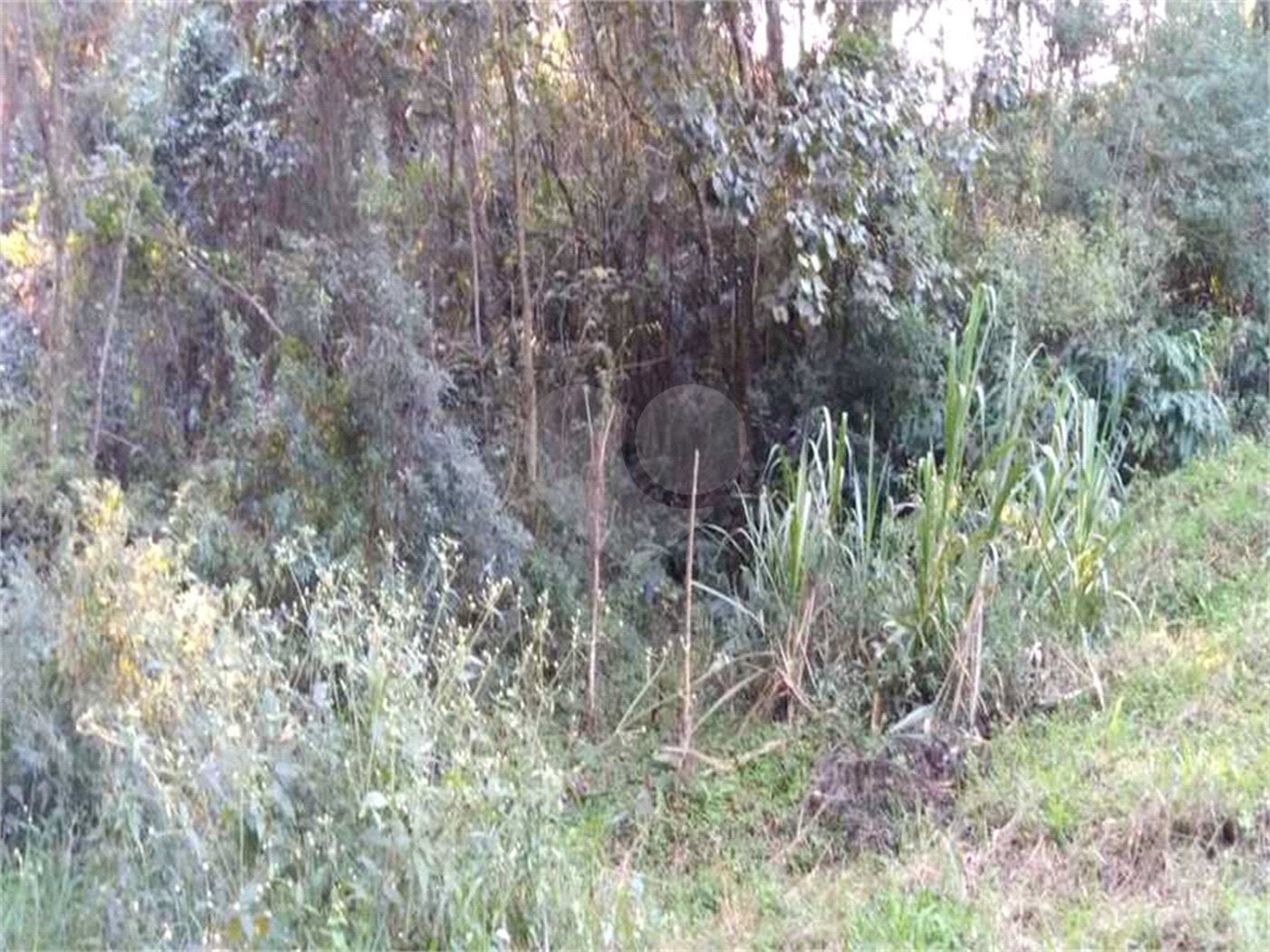 Terreno à venda em Serra da Cantareira, Mairiporã, SP