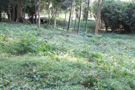 Terreno à venda no condomínio Chácara Flora, São Paulo - SP