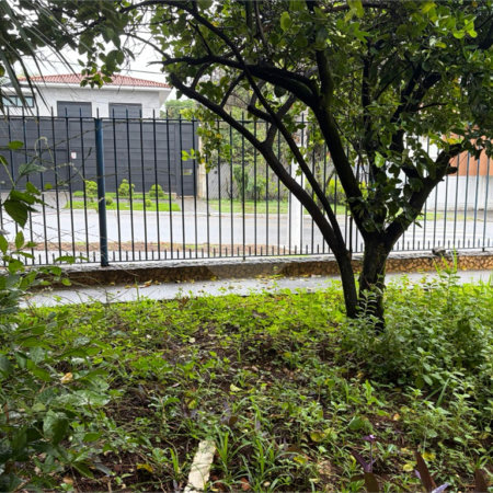 Casa à venda com 3 quartos em Bela Aliança, São Paulo, SP