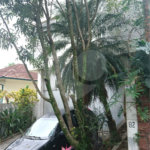 Sobrado à venda com 5 quartos, sendo 2 suítes, em Tremembé, São Paulo, SP