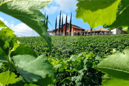 Terreno à venda com 1 suíte no condomínio Picollo Villaggio, Louveira - SP