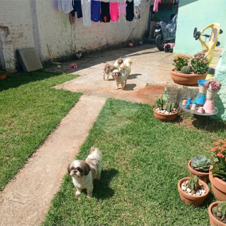 Casa à venda com 1 quarto em Vila Rio Branco, Itapetininga, SP