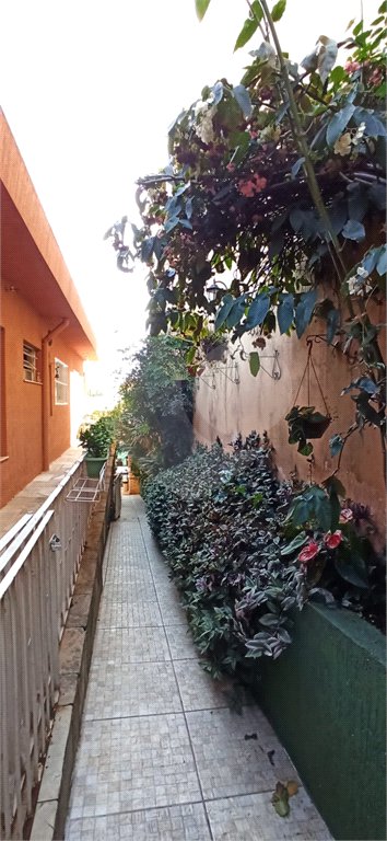 Casa Térrea à venda com 3 quartos, sendo 2 suítes, em Vila Irmãos Arnoni, São Paulo, SP