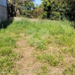 Terreno à venda com 1 suíte no condomínio Lenheiro, Valinhos - SP
