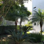 Apartamento à venda com 3 quartos, sendo 1 suíte, em Vila Paulicéia, São Paulo, SP
