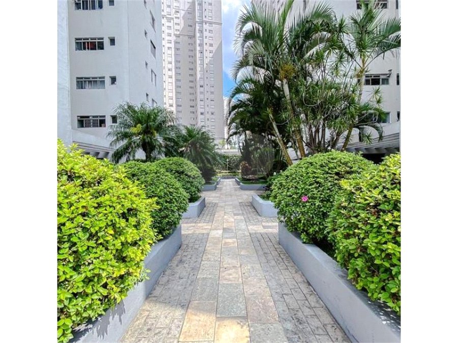 Apartamento à venda com 3 quartos, sendo 1 suíte, em Belenzinho, São Paulo, SP