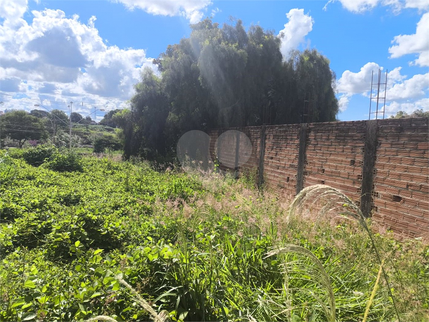 Terreno no Jardim Ricetti São Carlos - SP