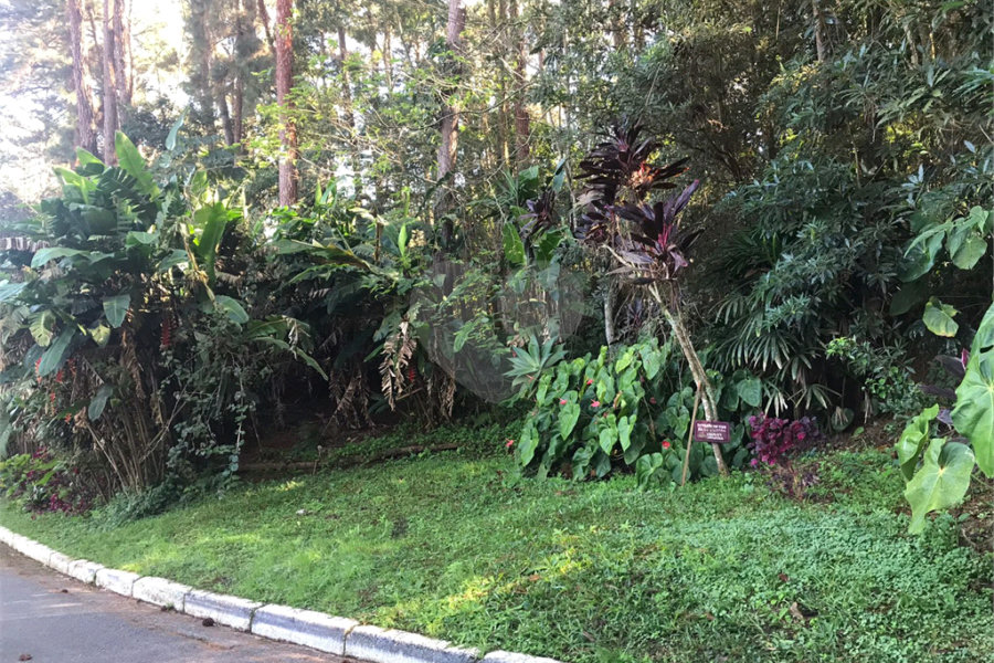 Casa Térrea à venda com 3 quartos, sendo 1 suíte, em Mandaqui, São Paulo, SP
