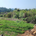 Terreno em Atibaia com 4.800 metros, pronto para construir, topografia plana, aceita financiamento