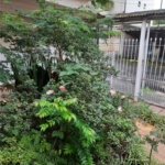 Casa à venda com 4 quartos, sendo 1 suíte, em Jardim Trussardi, São Paulo, SP