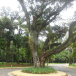 Terreno à venda em Alto da Boa Vista, São Paulo, SP