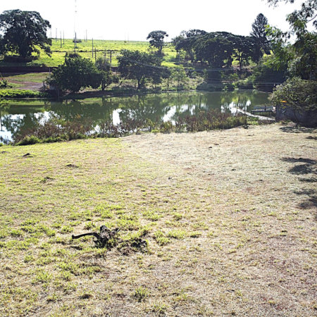 Terreno à venda no condomínio Garden Villa Rp, Ribeirão Preto - SP