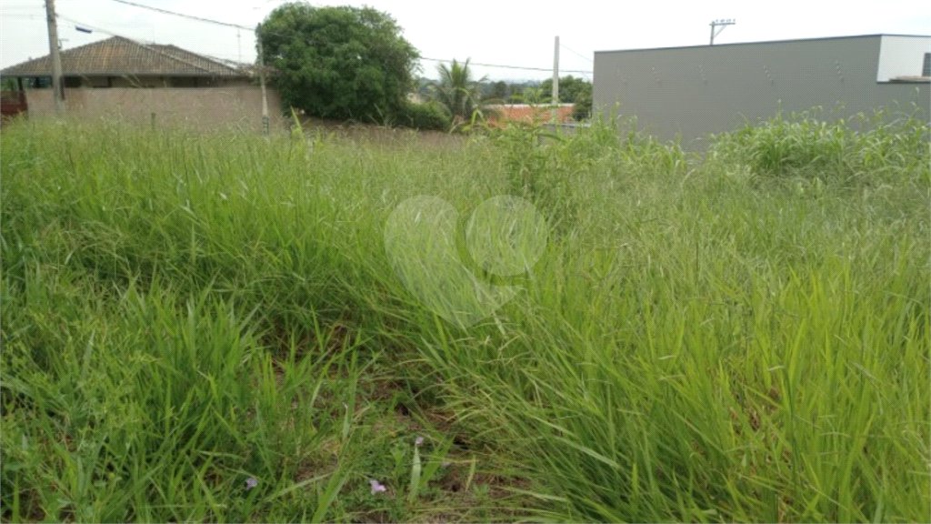 Terreno à venda em Pinheirinho, Vinhedo, SP