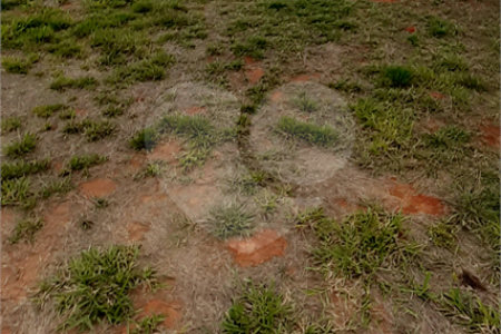 Área de Terra à venda no Centro, Bom Jesus dos Perdões, SP