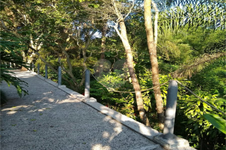 Sítio à venda com 6 quartos, sendo 2 suítes, em Nova Trieste, Jarinu, SP