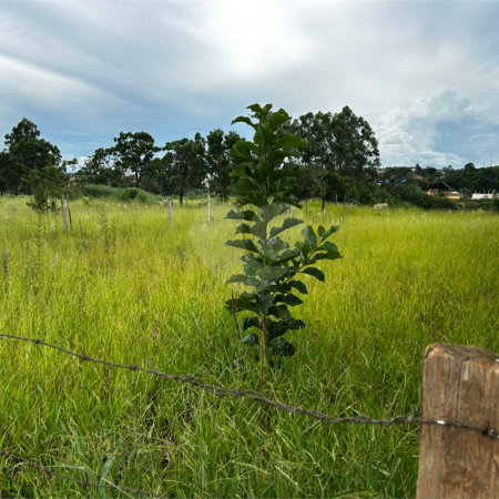 Terreno à venda em Vila Rubens, Itapetininga, SP
