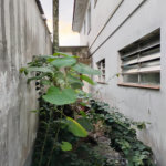 Casa à venda em Vila Mascote, São Paulo, SP
