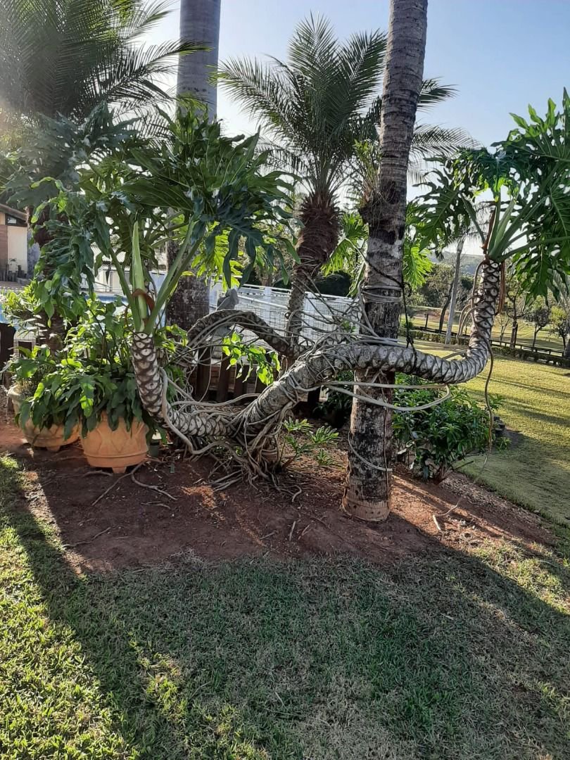 Rancho com 12 dormitórios à venda, 63000 m² por R$ 7.500.000,00 - Condomínio Haras Paineiras - Salto/SP