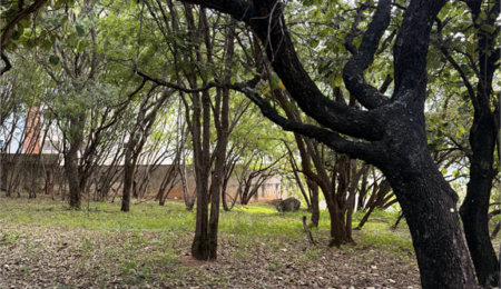 Área de Terra à venda em Jardim Portal da Colina, Sorocaba, SP
