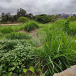 Terreno à venda em Tremembé, São Paulo, SP