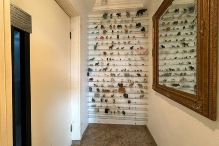 Apartamento à venda com 4 quartos, sendo 2 suítes, em Água Fria, São Paulo, SP