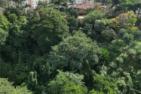 Terreno à venda em Paraisópolis, São Paulo, SP