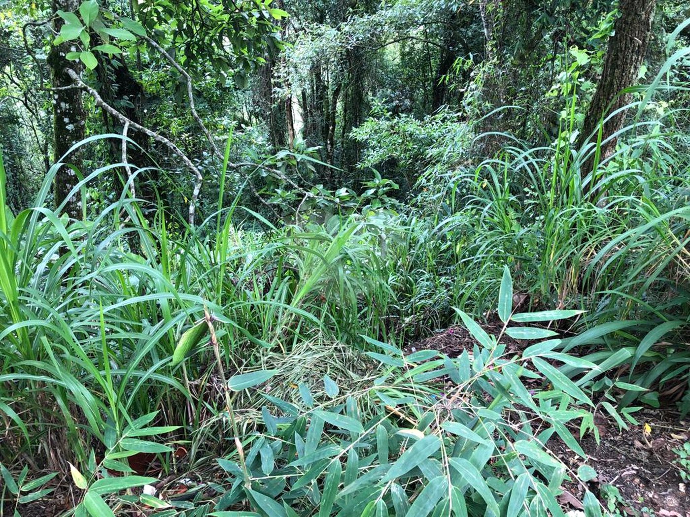 Terreno à venda no condomínio Gleba E2, Mairiporã - SP