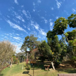 Chácara à venda com 4 quartos em Chácaras Copaco, Arujá, SP