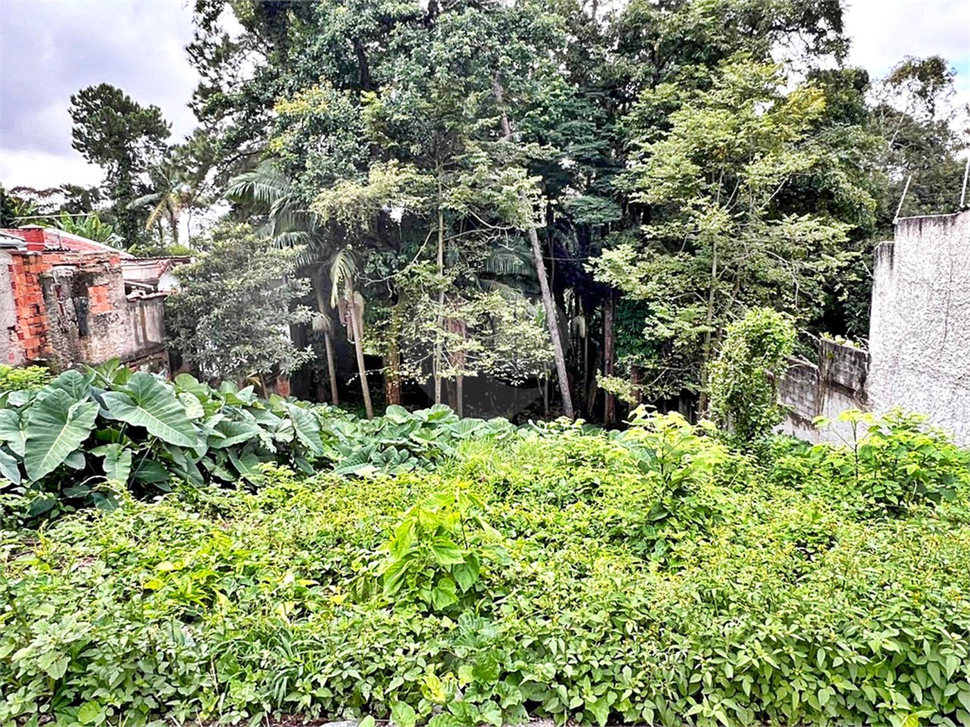 Terreno à venda em Tremembé, São Paulo, SP