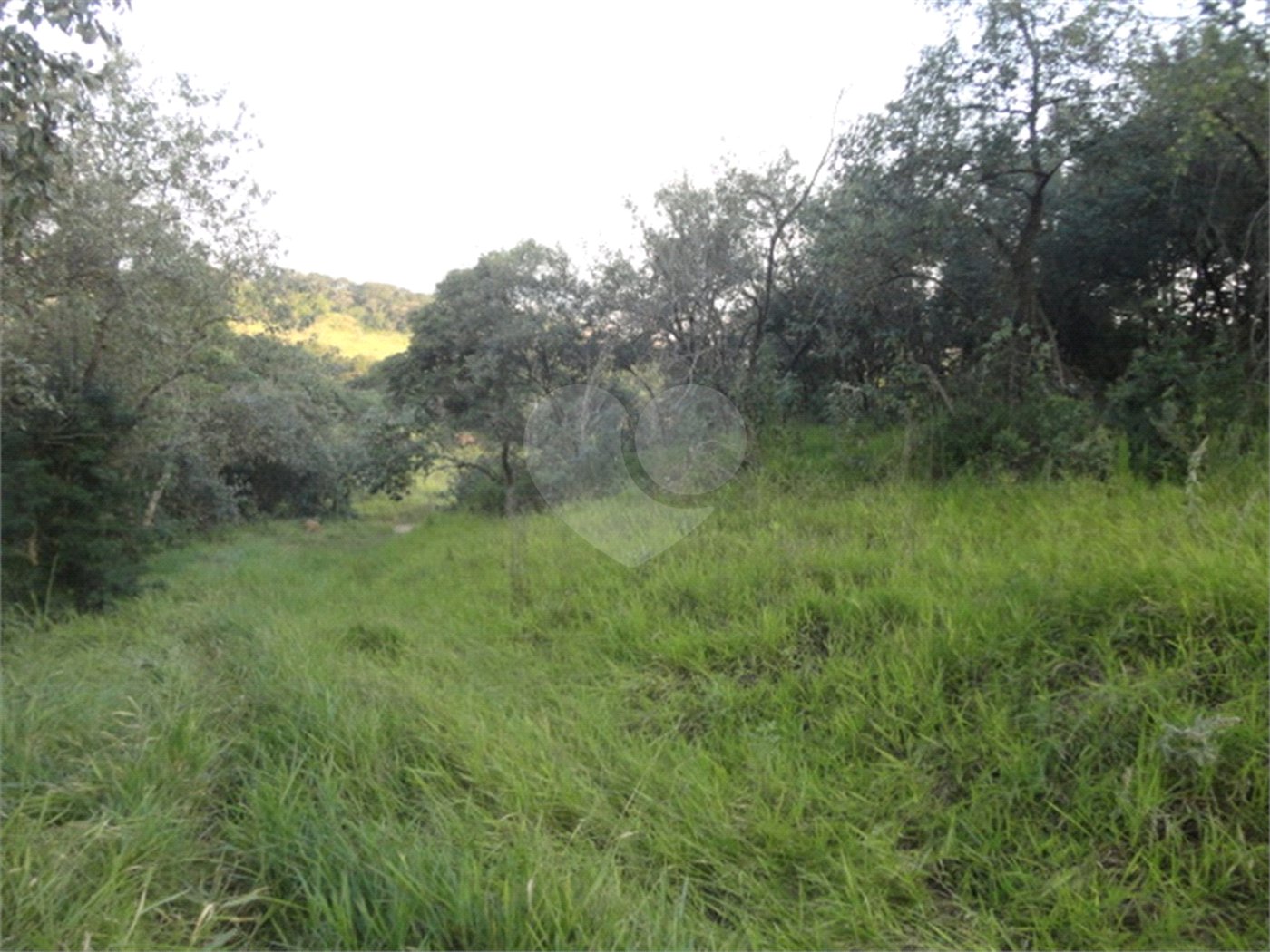 Terreno à venda em Vista Alegre, Vinhedo, SP