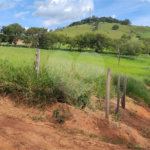 GLEBAS RURAIS EM PIRACAIA A PARTIR 20.000 M², EXCELENTE PARA CHÁCARAS E FAZENDINHAS