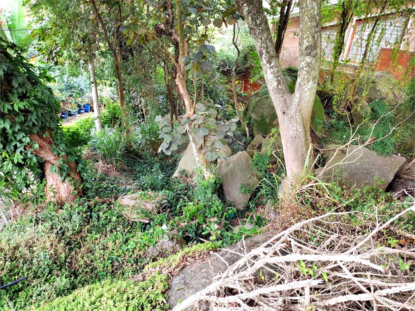 Terreno à venda em Tucuruvi, São Paulo, SP