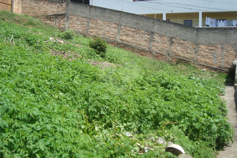 Terreno à venda em Casa Verde, São Paulo, SP