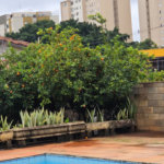 Chácara com 2 dormitórios à venda, 1500 m² por R$ 2.500.000,00 - Chácara Primavera - Campinas/SP