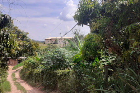 Chácara à venda com 4 quartos, sendo 1 suíte, em Vista Alegre, Vinhedo, SP