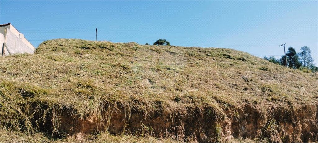 Terreno à venda em Dona Catarina, Mairinque, SP