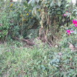 Terreno à venda no condomínio Sausalito, Mairiporã - SP