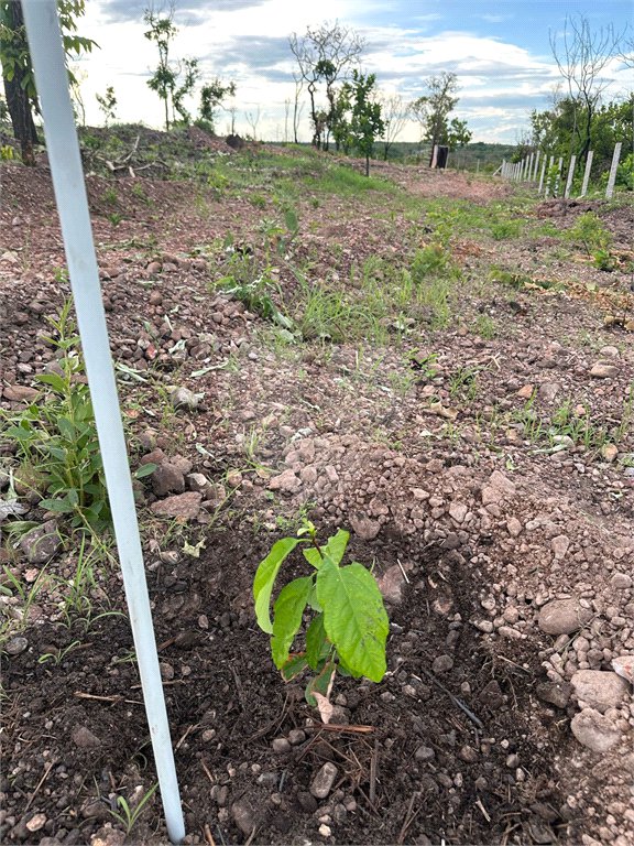 Terreno à venda em Nossa Senhora da Guia, Cuiabá, MT