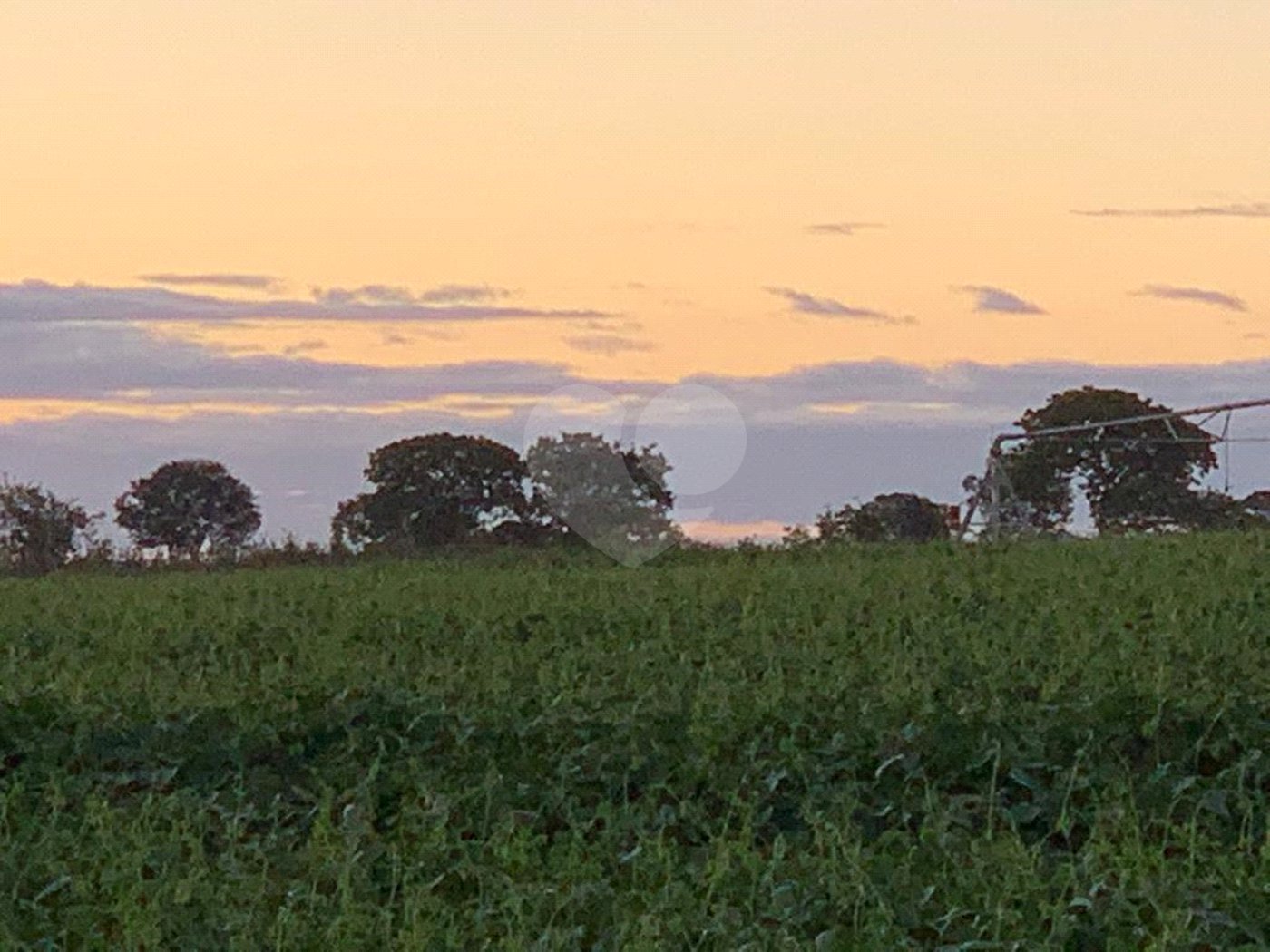 Fazenda à venda com 2 quartos em Canabrava, João Pinheiro, MG