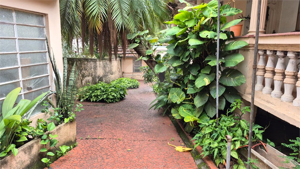 Terreno à venda em Vila Guilherme, São Paulo, SP