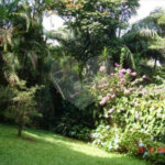 Casa Térrea à venda com 4 quartos, sendo 2 suítes, em Vila Tramontano, São Paulo, SP