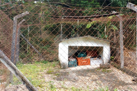 Chácara à venda em Sorocamirim (canguera), São Roque, SP